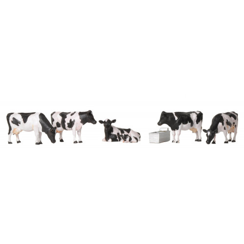 36-081 Cows