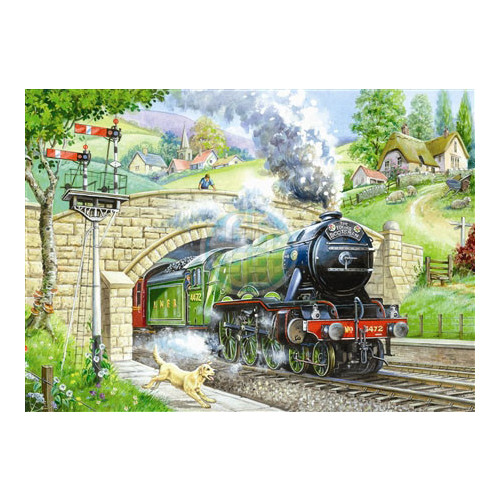 HP001448 BIG 250 Piece Jigsaw Puzzle Train Spotting