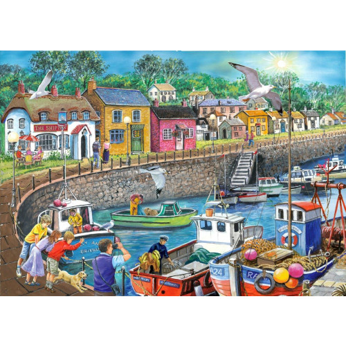 HP005149 BIG 250 Piece Jigsaw Puzzle Seagull View