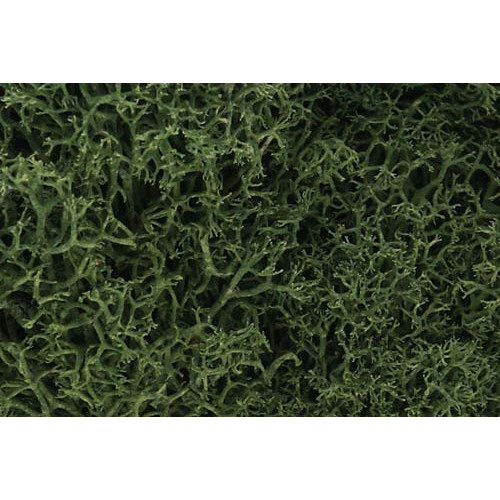 WL163 Medium Green Lichen